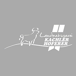 ZUR WEBSITE