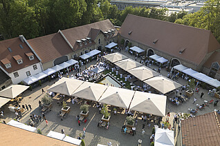 DJI_0803_Kopie